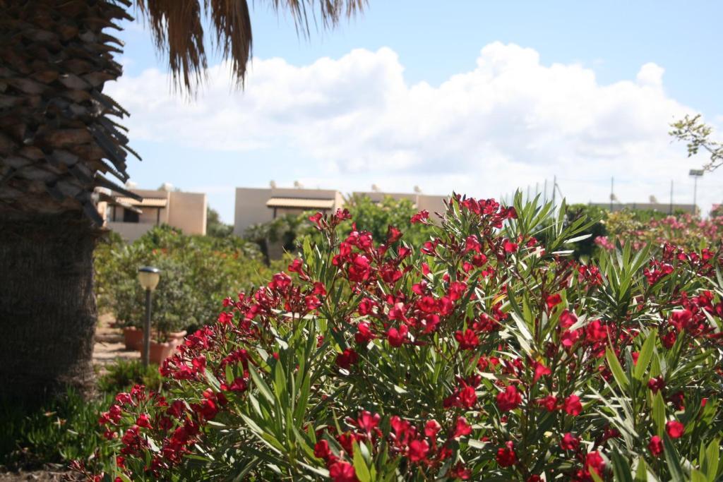 Residence Punta Longa Favignana Eksteriør billede